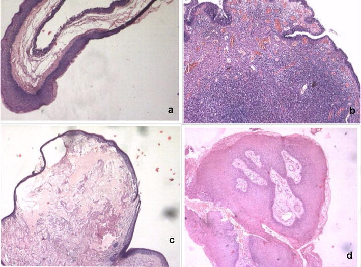 Fig. 4