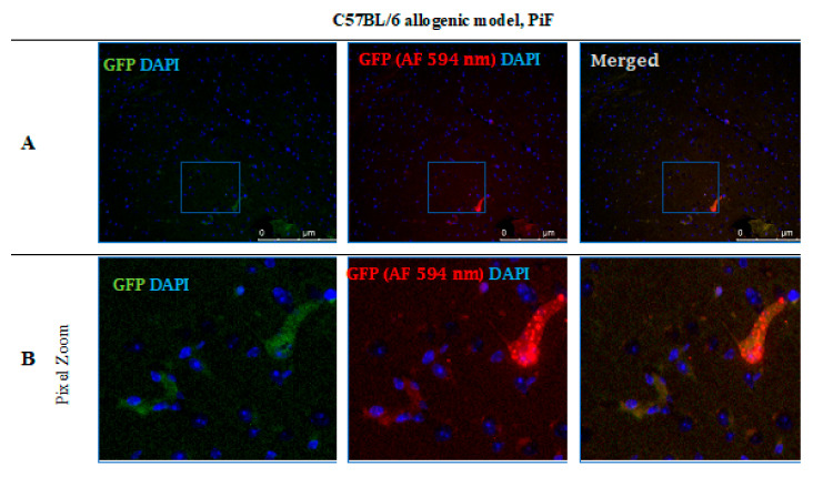 Figure 12