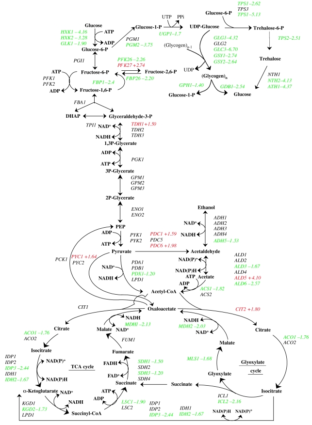 Figure 7