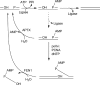 FIGURE 9.