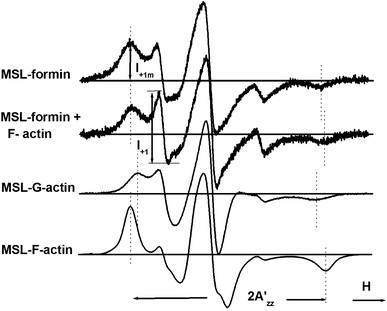 Fig. 2