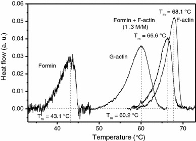 Fig. 4