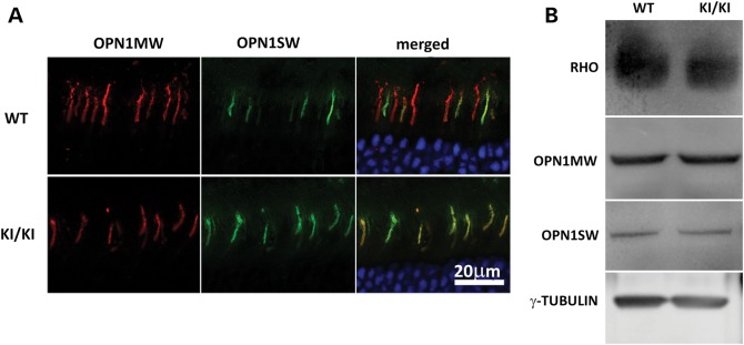 Figure 4.