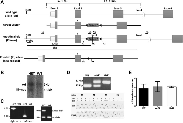 Figure 1.