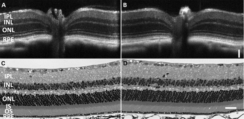 Figure 3.