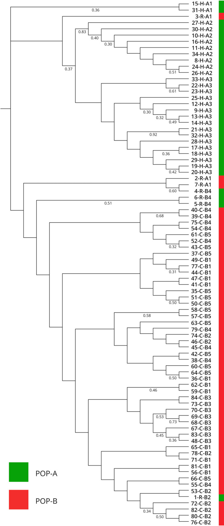 Fig 5