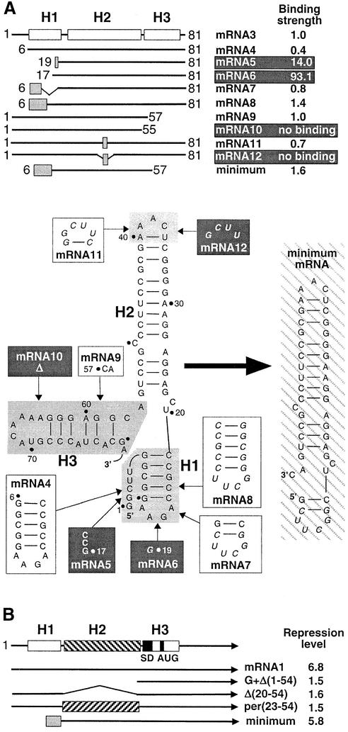 graphic file with name cdg170f5.jpg