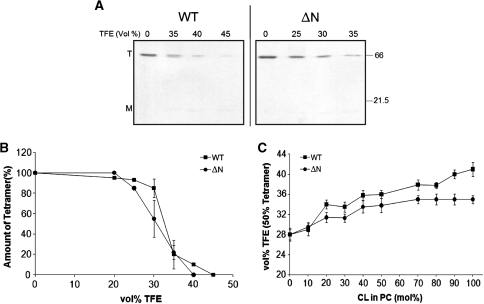 Fig. 2