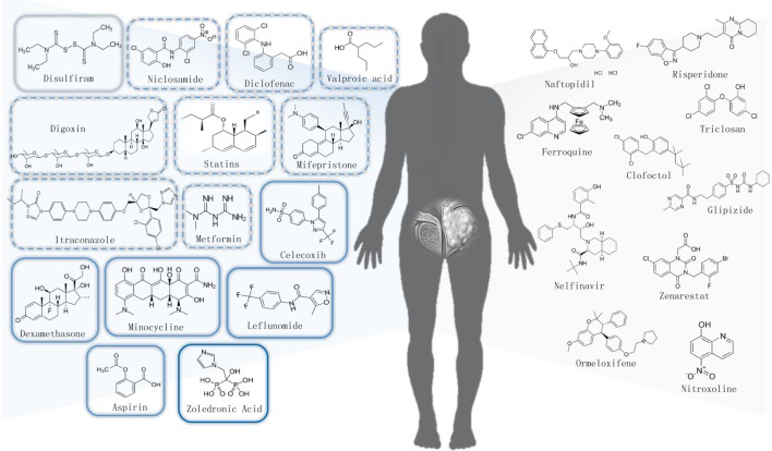 FIGURE 2