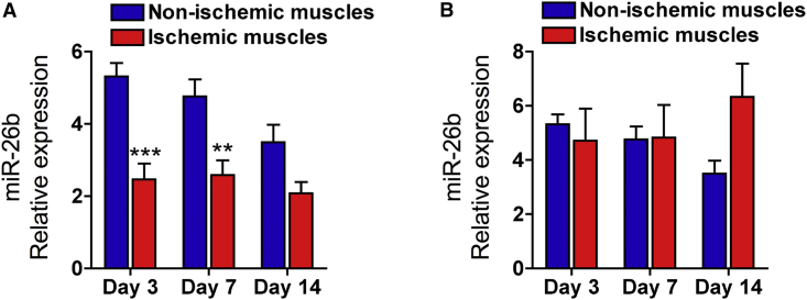 Figure 5