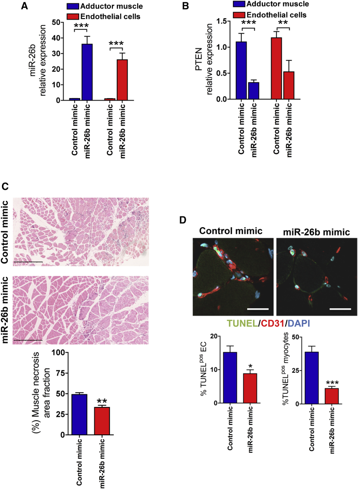 Figure 6