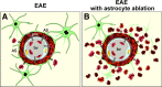 Figure 13.