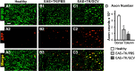 Figure 12.