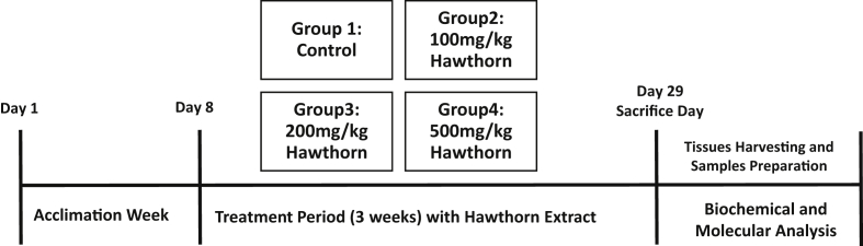 Figure 1