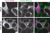 Extended Data Fig. 4