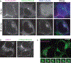 Extended Data Fig. 6