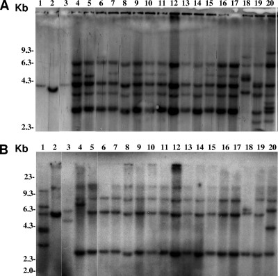 FIG. 1.