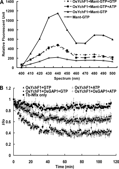 FIGURE 2.