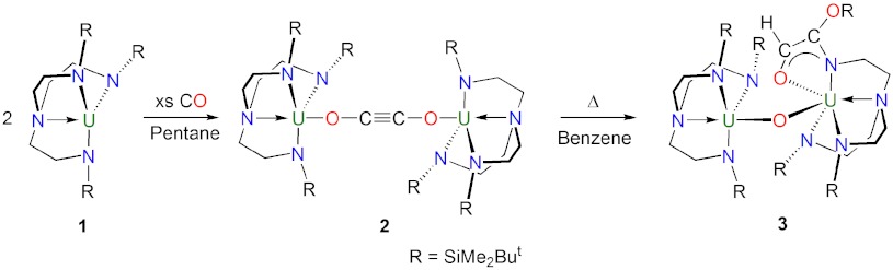 Scheme 1.