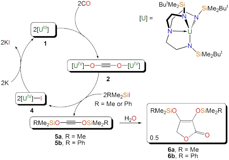 Scheme 2.