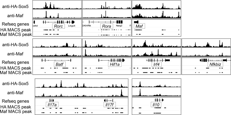 Figure 7.