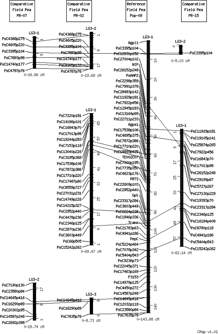 Fig. 2