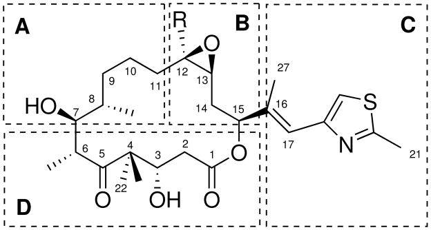 Scheme 2