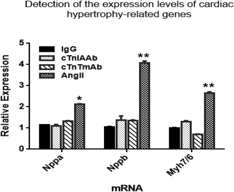 Supplementary Fig. 1