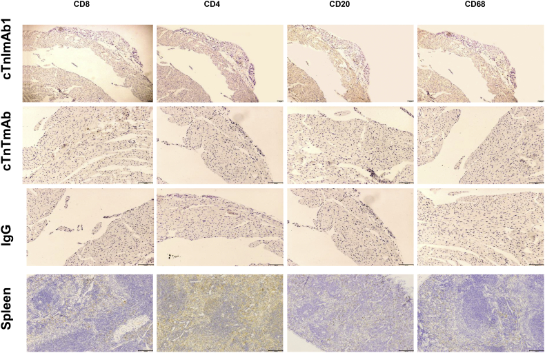 Supplementary Fig. 8