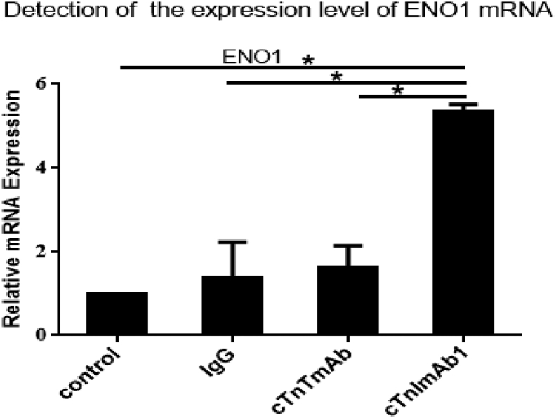 Supplementary Fig. 5