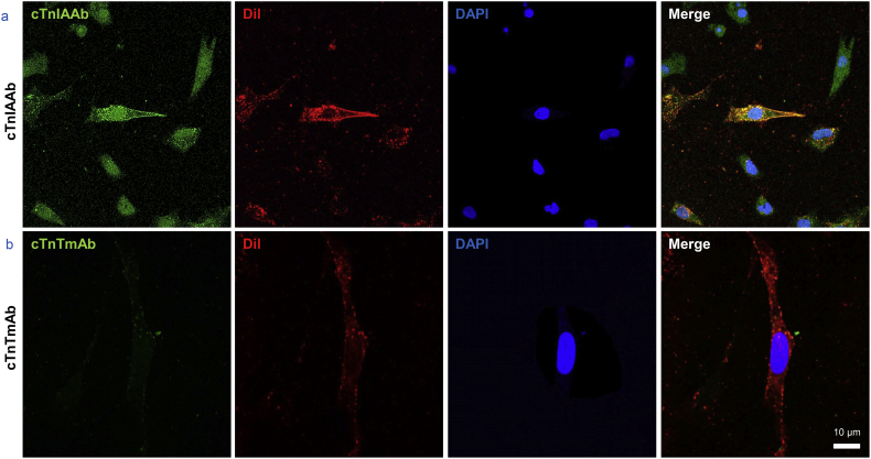 Supplementary Fig. 2