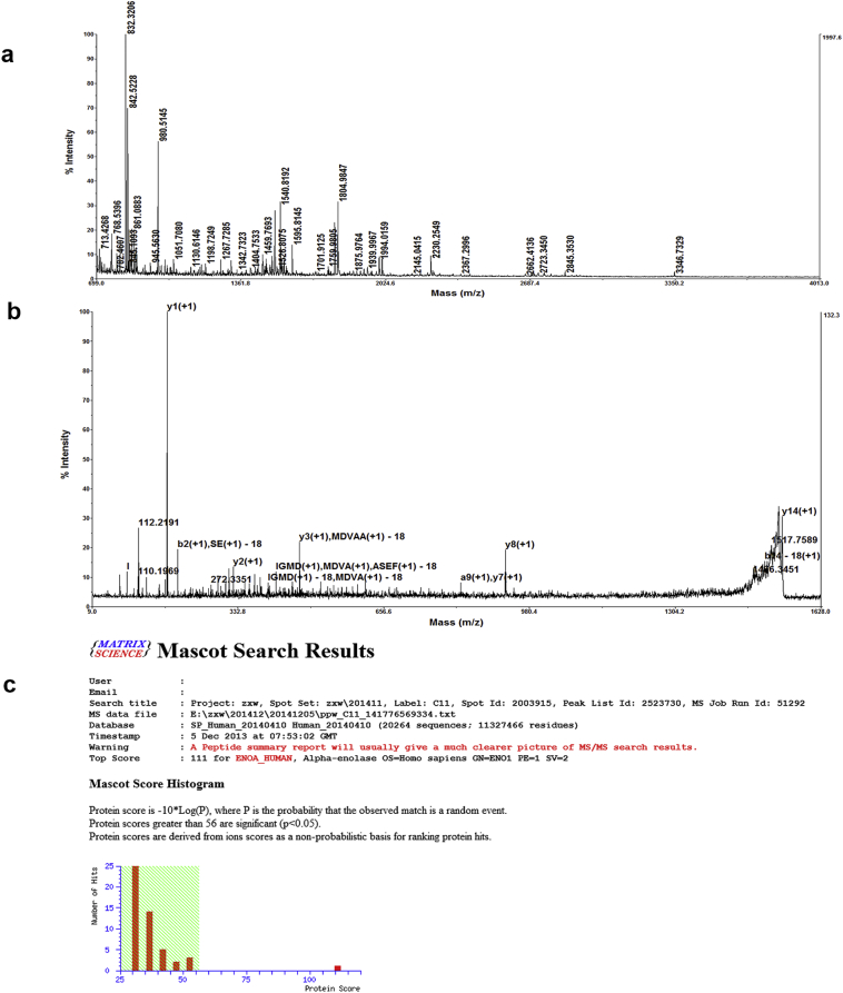 Supplementary Fig. 3