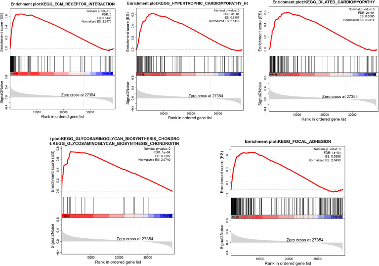 Figure 4