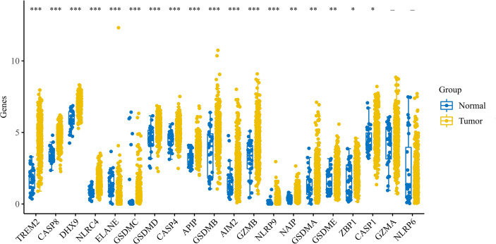 Figure 1