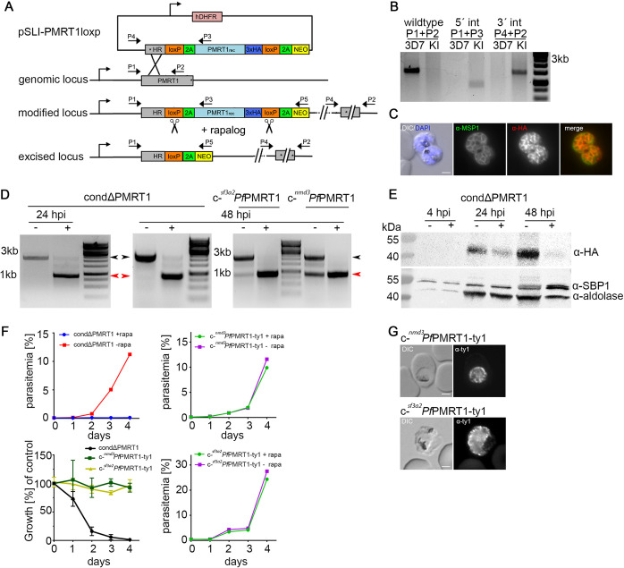 FIG 3