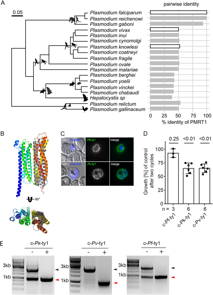 FIG 6