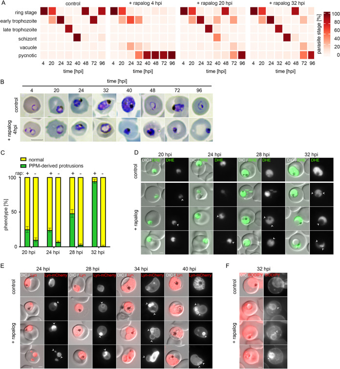 FIG 4