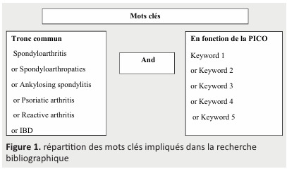 
Figure 1. répartition des mots clés impliqués dans la recherche
bibliographique
