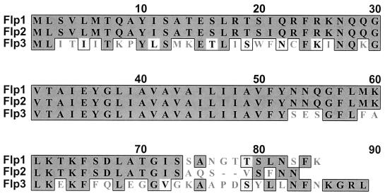 FIG. 2.