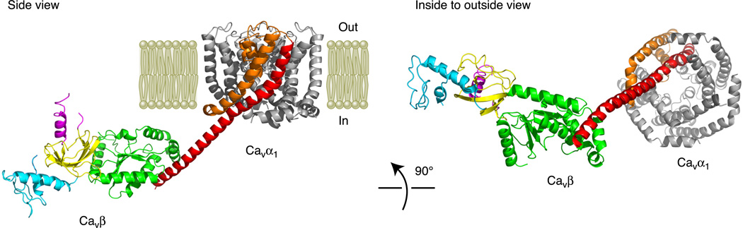 Fig. 4