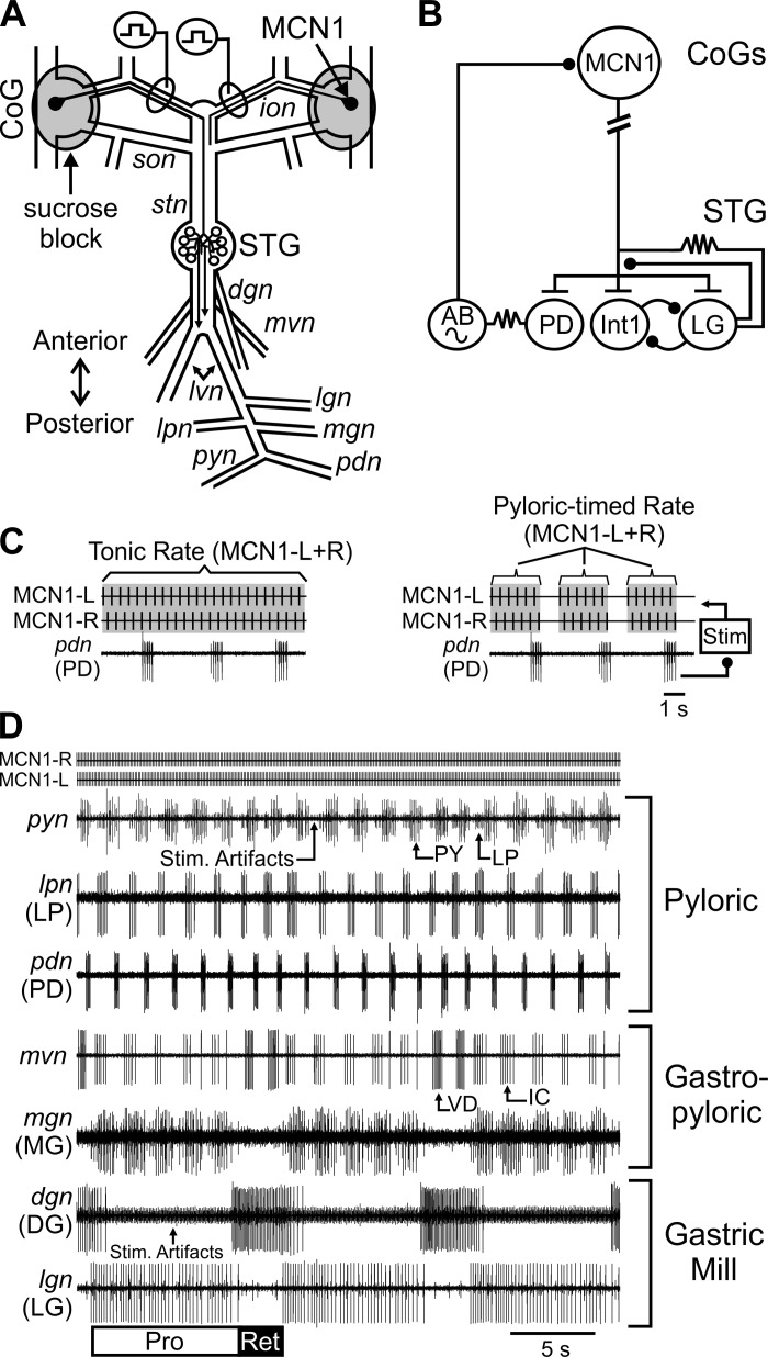 Fig. 1.