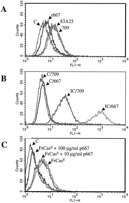 FIG. 4.