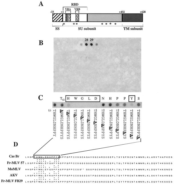 FIG. 2.