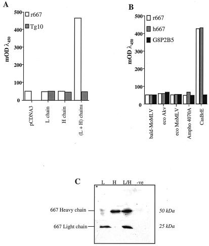 FIG. 1.