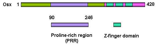 Figure1