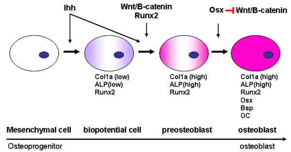 Figure3