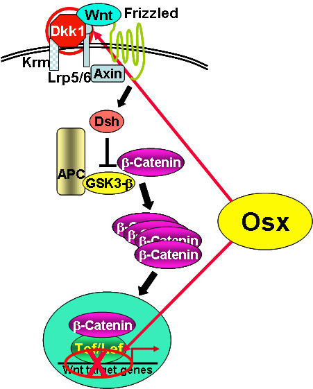 Figure2