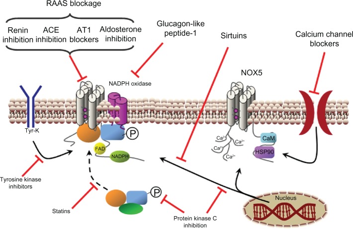 Figure 6