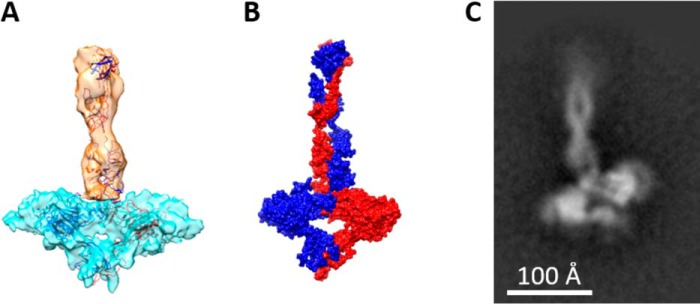 Figure 3.