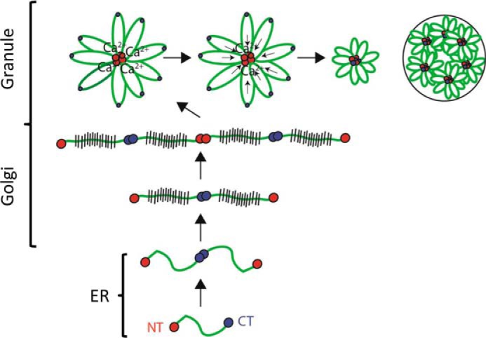 Figure 7.